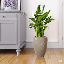 Vaso de Planta Luxo 23 litros Diamante Alto Resistente cor Areia Plastico Pequeno Jardim Plantas