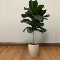 Vaso de Planta Luxo 6 litros Diamante Alto Resistente cor Areia Plastico Pequeno Jardim Plantas Vaso de Planta Luxo 6 litros Diamante Alto Resistente cor Areia Plastico Pequeno Jardim Plantas