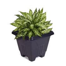 Vaso de planta quadrado grande 16,5 litros floreira jardim decorativo cachepot cone plastico horta casa preto Vaso de planta quadrado grande 16,5 litros floreira jardim decorativo cachepot cone plastico horta casa preto