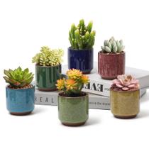 Vaso de plantador de suculentas T4U Ceramic 6, conjunto de 6,5 cm com orifício de drenagem