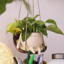 Vaso de plantador facial NINIPAPA Hanging Swing Smile para interior