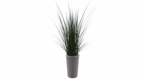 Vaso de plantas