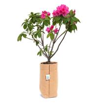 Vaso De Plantas E Flores 1 Litro Feltro Com Tiras aderentes Caramelo - King Pot