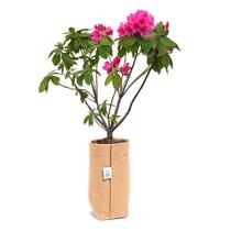 Vaso De Plantas E Flores 1 Litro Feltro Com Tiras aderentes Caramelo