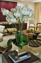 Vaso De Plantas Espelhado Vaso De Plantas Espelhado