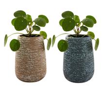 Vaso De Plantas Minimalista Pequeno Moderno para Decoração - Castela Vaso De Plantas Minimalista Pequeno Moderno para Decoração - Castela