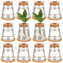 Vaso de propagação de plantas Baderke Plastic Desktop com suporte de bambu