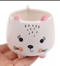 Vaso de suculenta decorativo