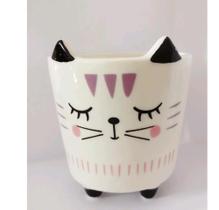 Vaso de suculenta decorativo