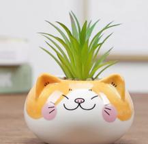 Vaso de suculenta decorativo