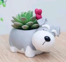 Vaso de suculenta decorativo