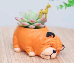 Vaso de suculenta decorativo