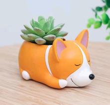 Vaso de suculenta decorativo