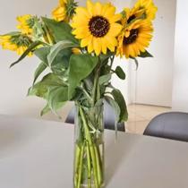 Vaso de Vidro Cilíndrico Tranparente Tubo para Decoração Artesanal feito a Mão Vaso de Vidro Cilíndrico Tranparente Tubo para Decoração Artesanal feito a Mão