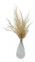 Vaso De Vidro Com Pampas Decorativos 7x14 Vaso De Vidro Com Pampas Decorativos 7x14