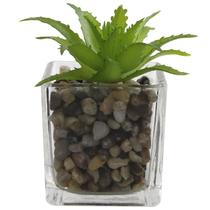 Vaso de vidro com pedras e planta permanente 5,5x5,5 Vaso de vidro com pedras e planta permanente 5,5x5,5