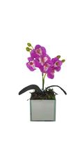Vaso de Vidro Espelhado com Mini Orquidea