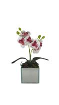 Vaso de Vidro Espelhado com Mini Orquidea