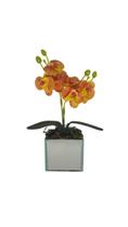 Vaso de Vidro Espelhado com Mini Orquidea Vaso de Vidro Espelhado com Mini Orquidea