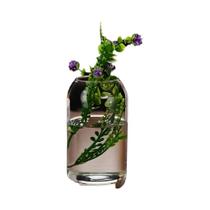 Vaso De Vidro Hidropônico Moderno Para Decoração De Casa, Centro De Mesa De Casamento, Design