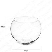 Vaso de Vidro para Decoração Aquario 14x17 Vaso de Vidro para Decoração Aquario 14x17