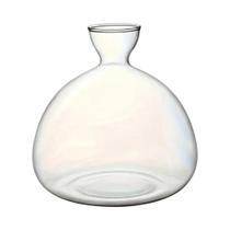 Vaso De Vidro Para Germinação De Sementes De Abacate, Plantador Hidropônico Para Jardinagem Interna,