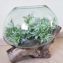 Vaso de vidro soprado na madeira