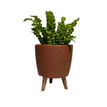 Vaso Decorativo 20cm Com Tripé De Madeira Para Plantas E Flores