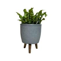 Vaso Decorativo 20cm Com Tripé De Madeira Para Plantas E Flores