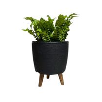 Vaso Decorativo 20cm Com Tripé De Madeira Para Plantas E Flores