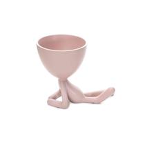 Vaso Decorativo Bob Robert Plant Deitado Em Poliresina Rosa 13x14x10 cm M02 - D'Rossi