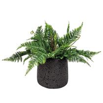 Vaso Decorativo Cinza Grafite Porous Cimento Com Planta G Vaso Decorativo Cinza Grafite Porous Cimento Com Planta G