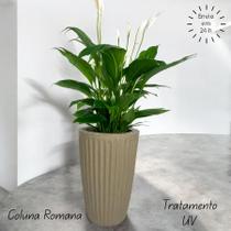 Vaso decorativo coluna romana para plantas casa e jardim tratamento uva Vaso decorativo coluna romana para plantas casa e jardim tratamento uva