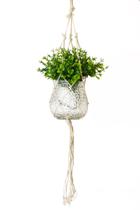 Vaso Decorativo Com Macramê E Planta Artificial Mini Folhagem Inclusa