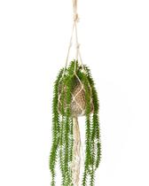 Vaso Decorativo Com Macramê E Planta Artificial Suculenta Pendente