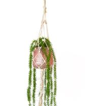 Vaso Decorativo Com Macramê E Planta Artificial Suculenta Pendente