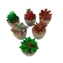 Vaso Decorativo de Cimento 9cm com Planta - Tudo em Caixa