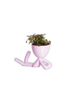 Vaso Decorativo Para Suculentas G - Bob Deitado