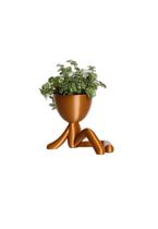 Vaso Decorativo Para Suculentas G - Bob Descansando