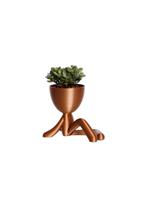 Vaso Decorativo Para Suculentas G - Bob Descansando