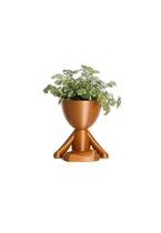 Vaso Decorativo Para Suculentas G - Bob Meditando