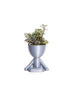 Vaso Decorativo Para Suculentas G - Bob Meditando