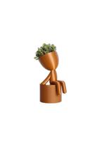 Vaso Decorativo Para Suculentas G - Bob Sentado