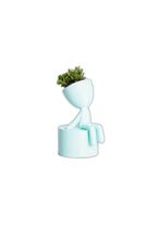 Vaso Decorativo Para Suculentas G - Bob Sentado
