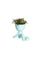 Vaso Decorativo Para Suculentas P - Bob Descansando