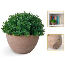 Vaso Decorativo Planta Artificial Estocasa Buxinho Realista Decoração Vaso Decorativo Planta Artificial Estocasa Buxinho Realista Decoração