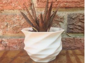 Vaso decorativo plantas pequenas