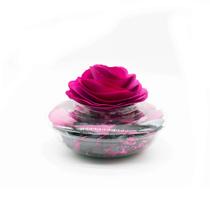 Vaso Decorativo Pot Pourri