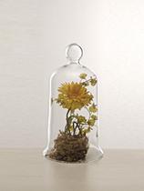 Vaso Decorativo Redoma Castiçal - Luvidarte