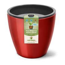 Vaso Elegance Autoirrigável N3,5 Vermelho Nutriplan 1,8L Vaso Elegance Autoirrigável N3,5 Vermelho Nutriplan 1,8L